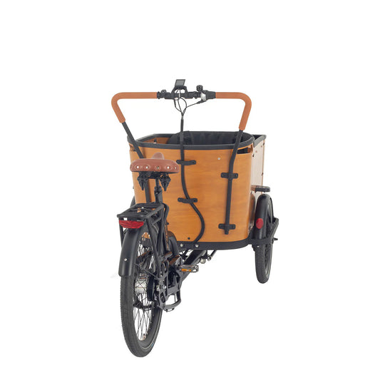 Cargo Bike - Family C